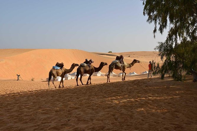 Discovery Senegal 8 Days 7 Nights - Customer Reviews