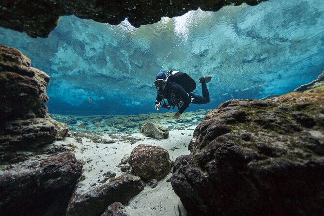 Diving Experience in Polignano a Mare With Certification - Cancellation Policy
