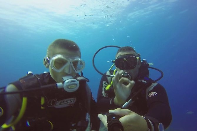 Diving for Beginners by Boat From Puerto Colon - Booking Information and Pricing
