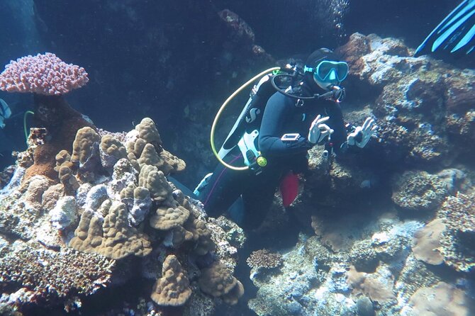Diving Speed Boat in Marsa Alaam - End Point