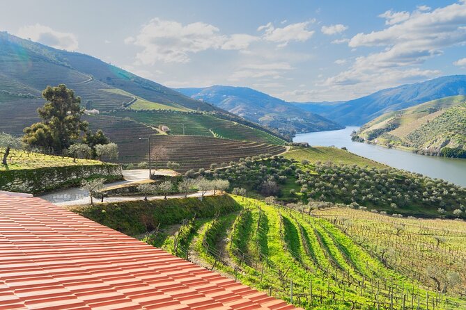 Douro Valley Private Tour With Wine Tastings From 2 Wineries - Additional Information
