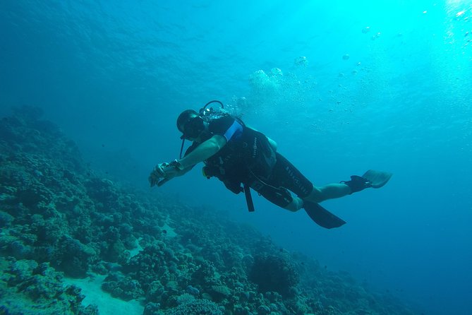 DSD Discover Scuba Diving (Min Age 10 Years) - Frequently Asked Questions