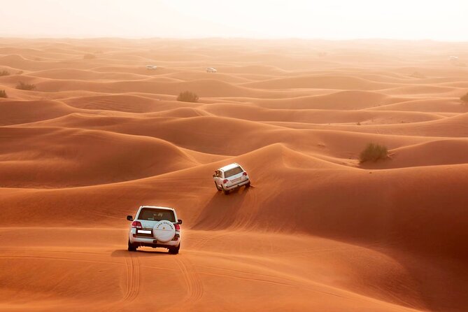 Dubai Premium Desert Safari With Bbq Dinner - Entertainment Shows