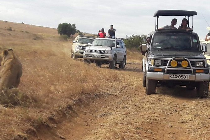 Early Morning Group Joining Mini Safari To Nairobi National Park - The Sum Up