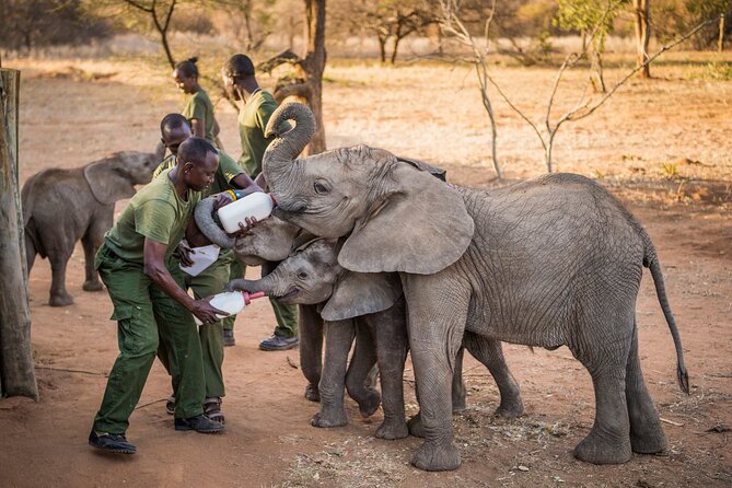 Elephant Orphanage Ticket With Pick up and Drop off - Cancellation Policy and Refund Details