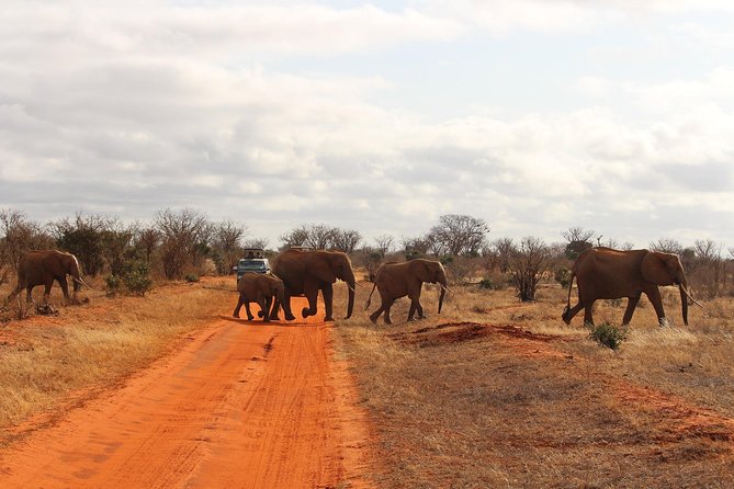 Set out on a Spectacular 2 Days Safari to Tsavo East National Park - Booking Process