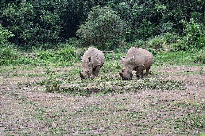 Entebbe Eco Tour - Full Day - Additional Information