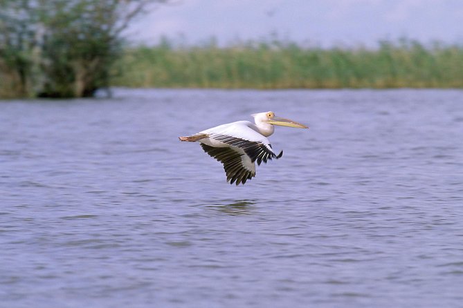 ETHIOPIA BIRDWATCHING— 10 Days - Birdwatching Locations