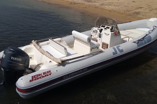 Exclusive Tour in Dinghy Bonifacio/Capo Testa - Accessibility Notes