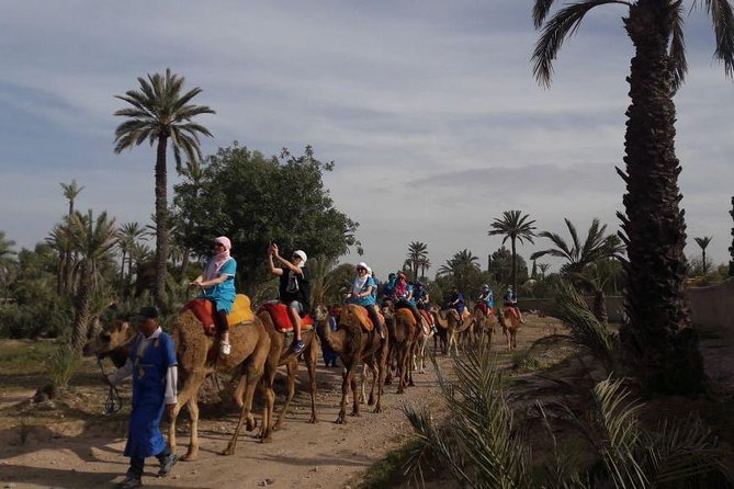 Experience Spa Hammam Massage and Camel Tour - The Sum Up