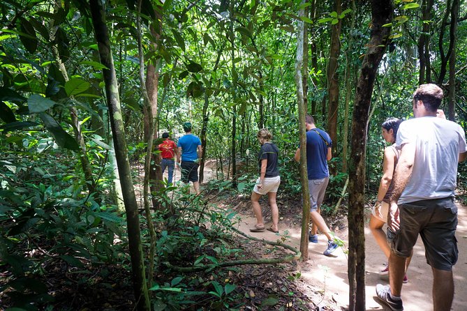 Explore Cu Chi Tunnels With Private Tour From Ho Chi Minh City - Accessibility Information
