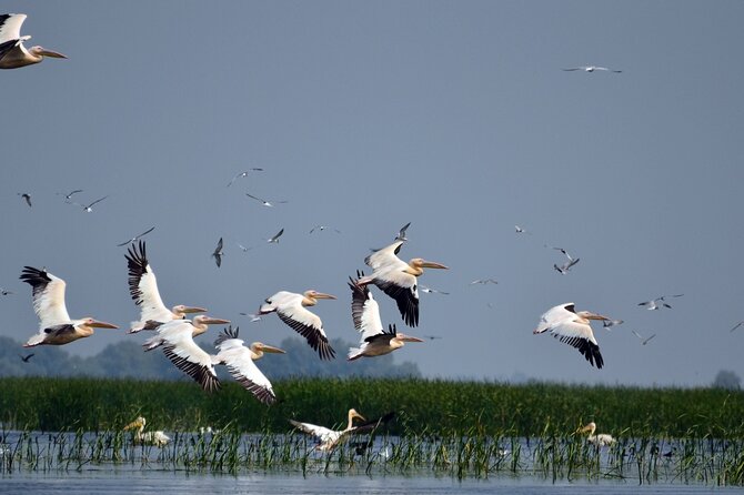 Explore Danube Delta and Black See in 2 Day Private Tour From Bucharest - Meeting and Pickup Details