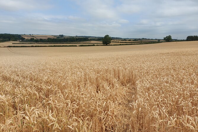 Explore the Cotswolds From Oxford Private Tour - Private Tour Experience
