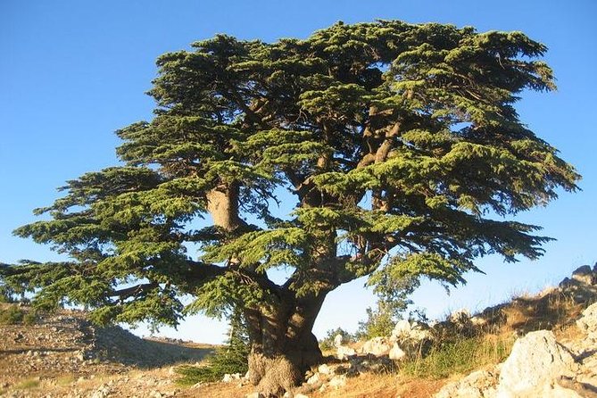 Fabulous Half-Day Tour to Beiteddine Palace & Deir Elqamar - Insider Tips