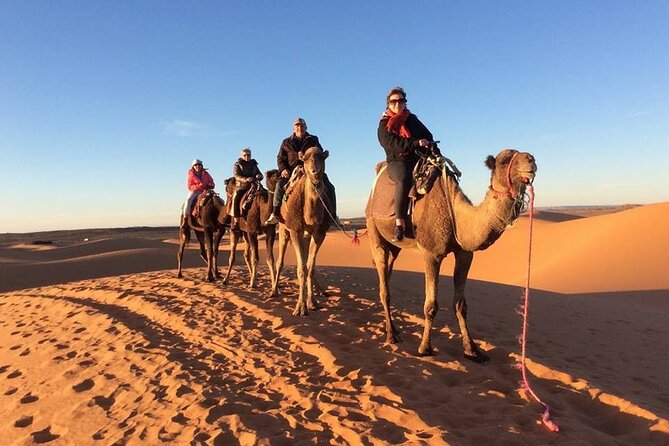 Fes Desert Tour 2 Days - Cancellation Policy