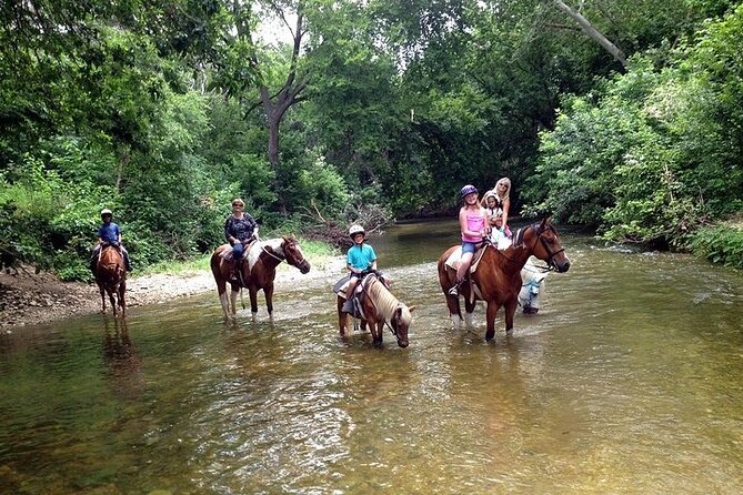 Fethiye Horse Riding Experience - Additional Information