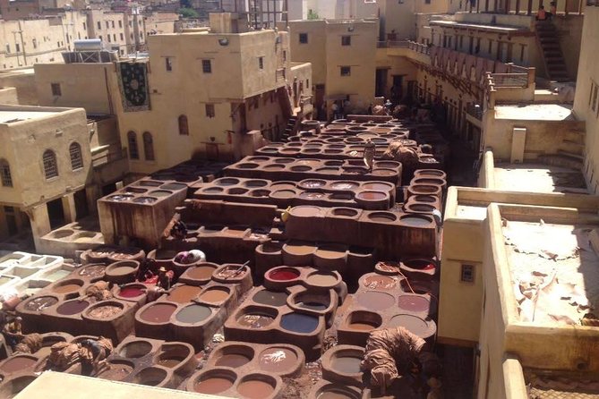 Fez Day Tour With Local Guide & Driver - Customer Reviews