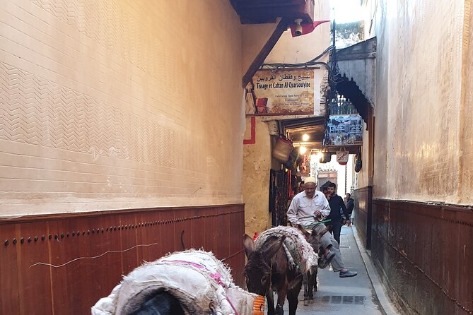 Fez Medina Full Day Guided Tour - Review Information