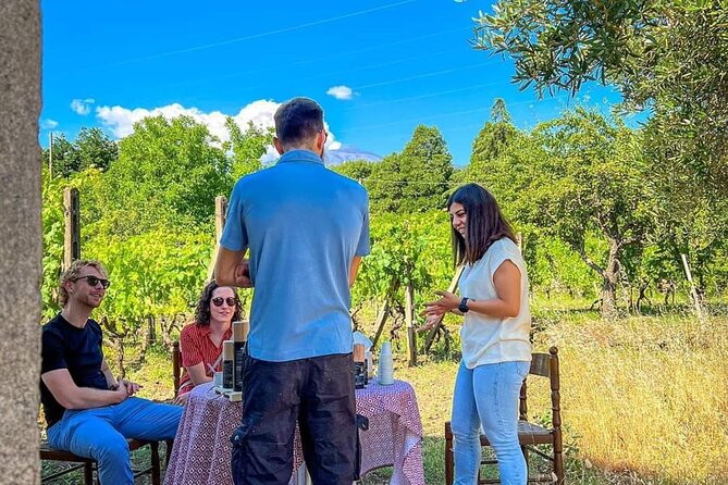 Food and Wine Tour From Taormina With Lunch in a Etna Winery - Booking Information