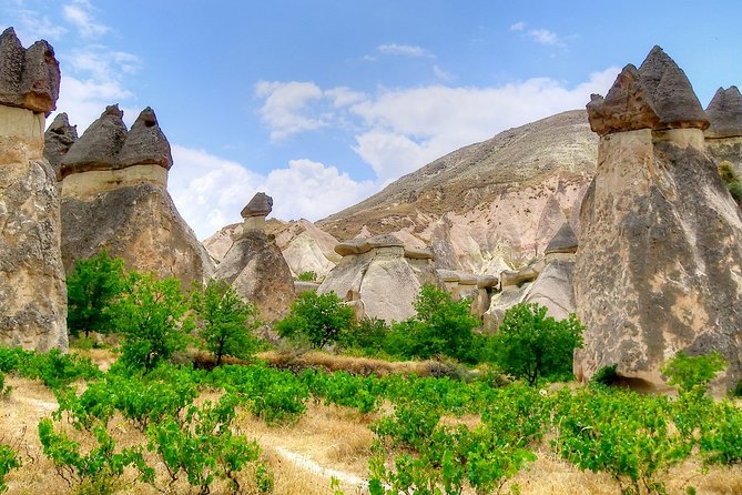 For Cruisers: 5 Days Istanbul & Cappadocia Trip - Including Hot Air Balloon Ride - Dietary Requirements and Group Size