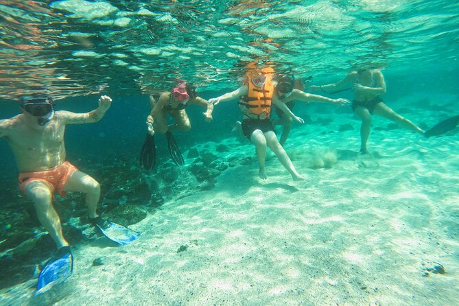 From Abu Dhabi: Snorkeling With Turtles in Fujairah With BBQ - Booking Details