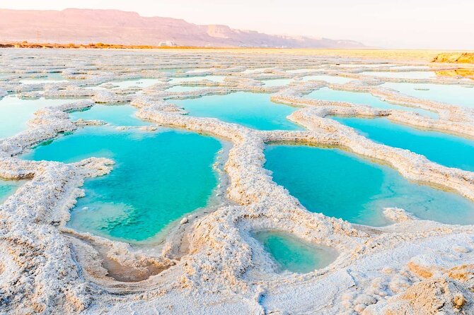 From Amman : Amman City and Dead Sea Full-Day Tour - What To Expect