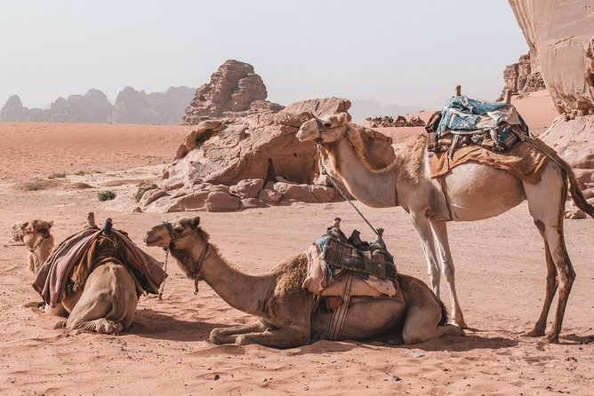 FROM AMMAN | Petra & Wadi Rum in One Day | the Jordanian Mappers - Frequently Asked Questions