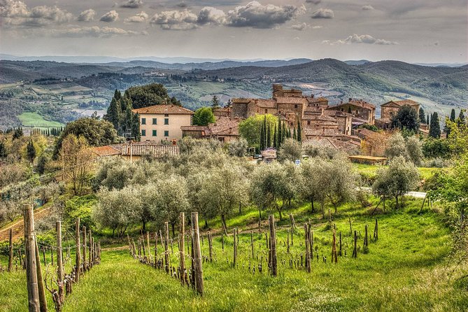 From Florence. Private Short Chianti Day With Winery Visit and Lunch - Pricing