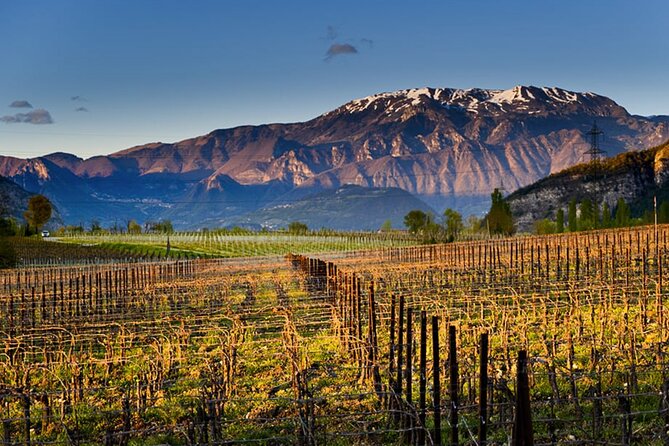 From MILAN Private Franciacorta & Amarone Valpolicella Wine Tour - Meeting and Pickup
