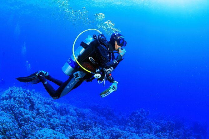 From Side, Alanya: Scuba Diving With 2 Time Dive & Lunch - Pricing