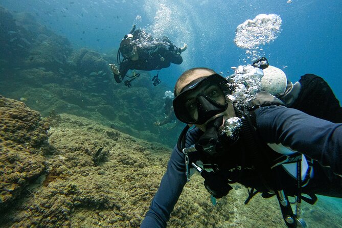 2 Best Scuba Diving Experiences In Abu Dhabi