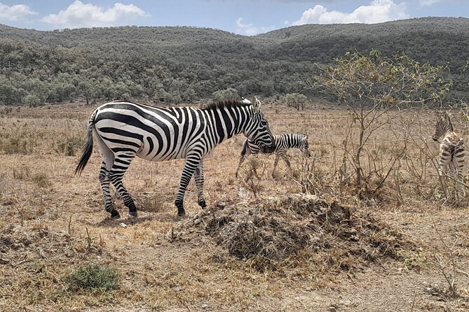 Full Day Adventure to Lake Nakuru National Park From Nairobi - Additional Details