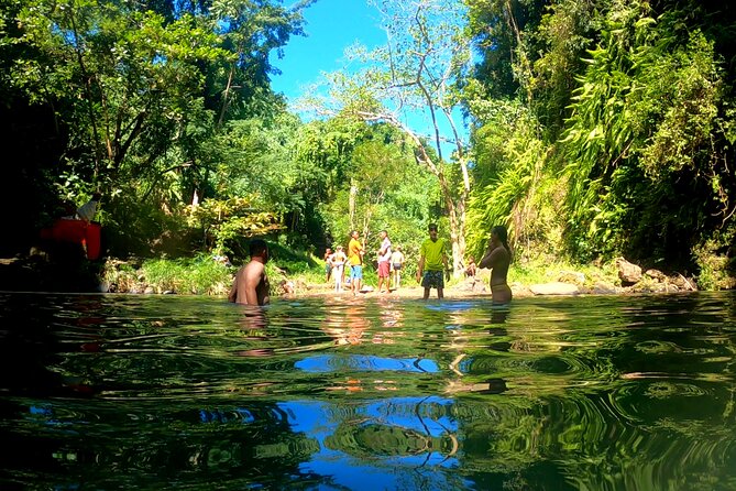 Full-Day Exclusive Private Tour in Nosy Be With Luxury Lunch - Accessibility and Special Considerations