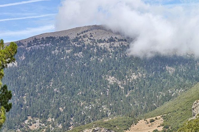 Full Day Excursion to Mount Lakraa | Highest in Talassemtane Park (2159m) - Pickup Details