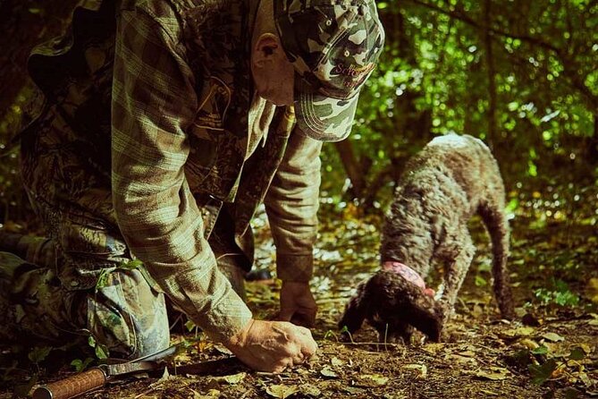 Full Day Experience | Truffle Hunting in Assisi - Additional Information