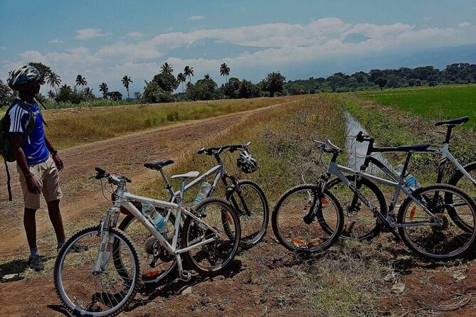 Full-Day Monkey Forest Cycling Adventure From Moshi - What To Expect