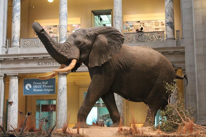 Full-Day Nairobi National Museum, Giraffe Centre and Nairobi National Park Tour - Important Additional Information