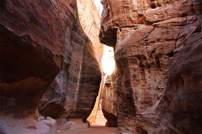 Full-Day Petra Tour From Aqaba - Necessary Items for the Tour