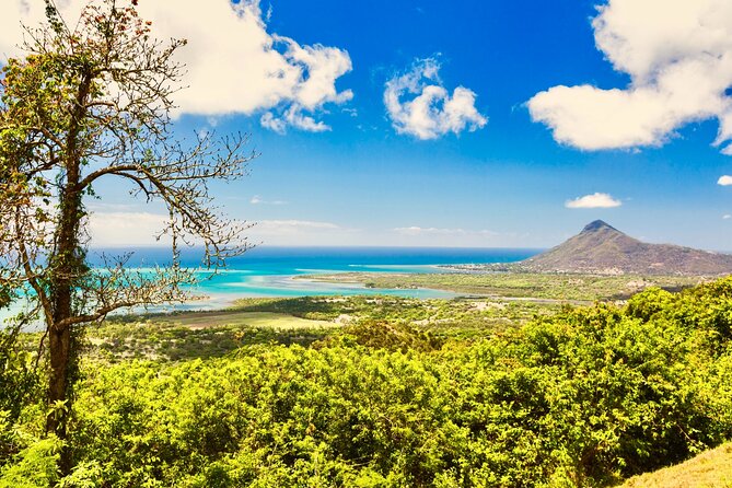 Full Day Private Guided Tour South of Mauritius - Customer Reviews