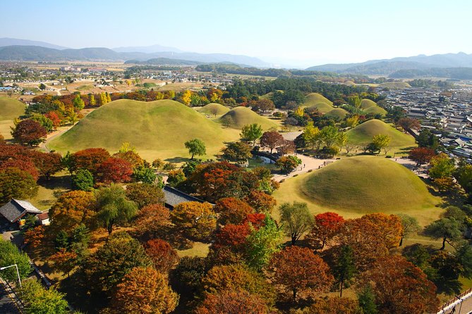 Full Day Private Gyeongju UNESCO Heritage Tour : a Glimpse Into Silla - Cultural Immersion
