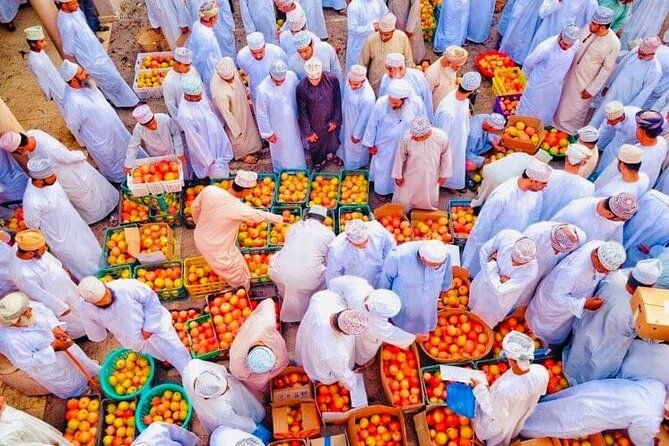 Full Day Private Nizwa/Jebel Akhdar - Visitor Recommendations