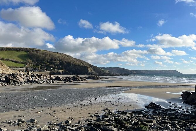 Full-Day Private Tour in South Coast of Cornwall - Nature Exploration