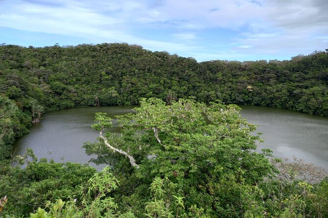 Full Day Private Tour in South of Mauritius - Positive Experiences Shared