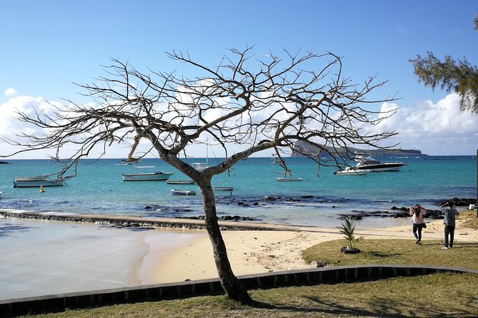 Full-Day Private Tour of Northern Mauritius - Transportation Details