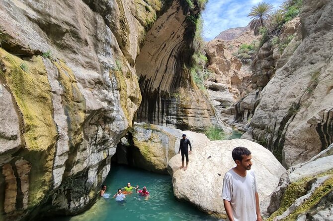 Full-Day Private Wadi Tiwi Adventure - Pricing and Booking
