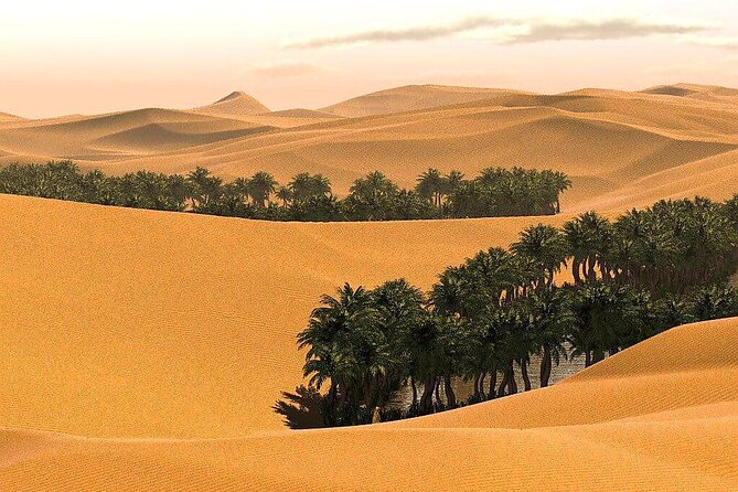 Full-Day Private Wahiba Sands Desert and Wadi Bani Khalid Tour - Frequently Asked Questions