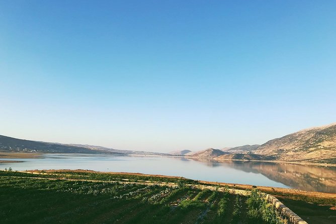Full-Day Private Wine Tour in Bekaa Valley With Tasting - Tour Overview