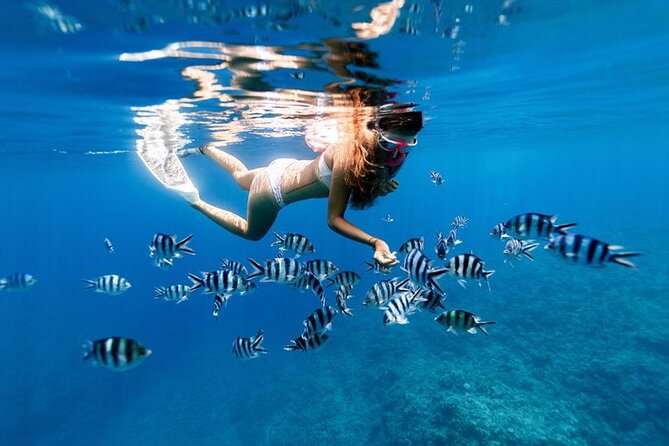 Full Day Private Zanzibar Tour With Sunset Beach - Operator Details