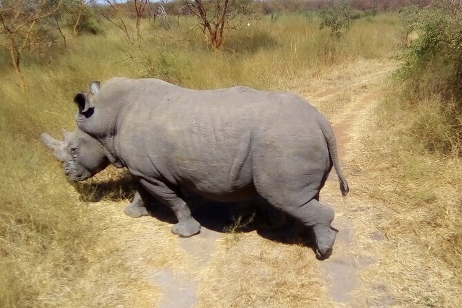 FULL-DAY SAFARI and PINK LAKE TOUR (Minimum 2 Pax) - Important Details