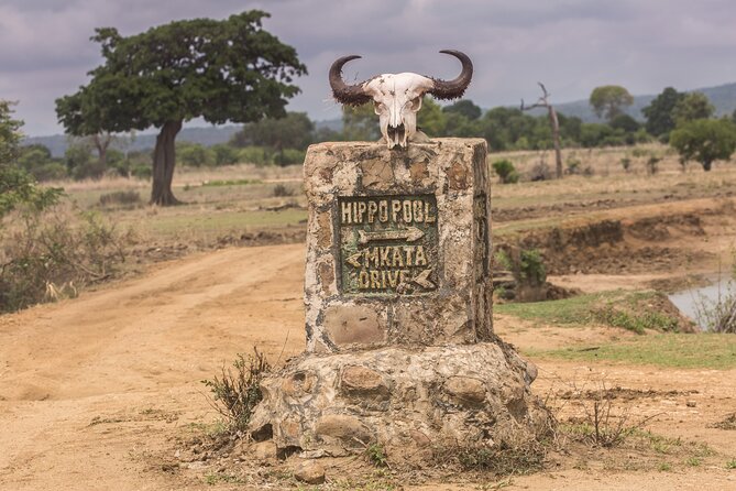 Full-Day Safari Tour From Mikumi National Park of Zanzibar - Cancellation Policy